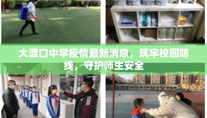 大渡口中学疫情最新消息，筑牢校园防线，守护师生安全