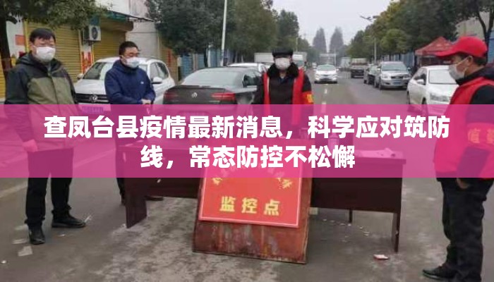 查凤台县疫情最新消息，科学应对筑防线，常态防控不松懈