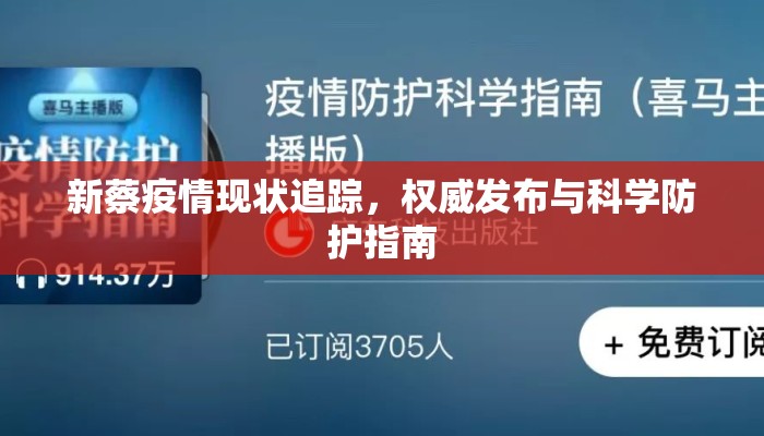 新蔡疫情现状追踪，权威发布与科学防护指南