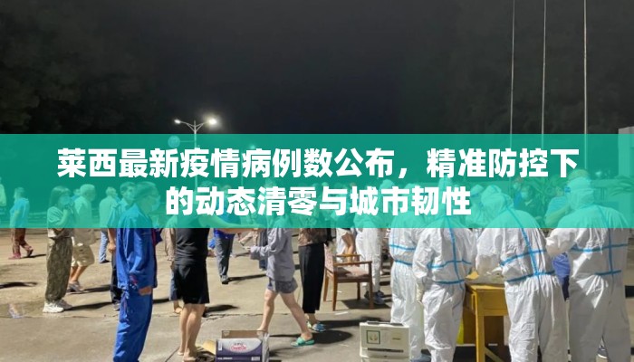 莱西最新疫情病例数公布，精准防控下的动态清零与城市韧性