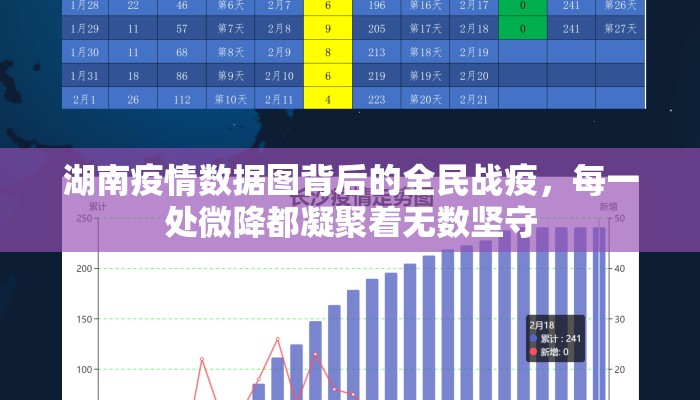 湖南疫情数据图背后的全民战疫，每一处微降都凝聚着无数坚守