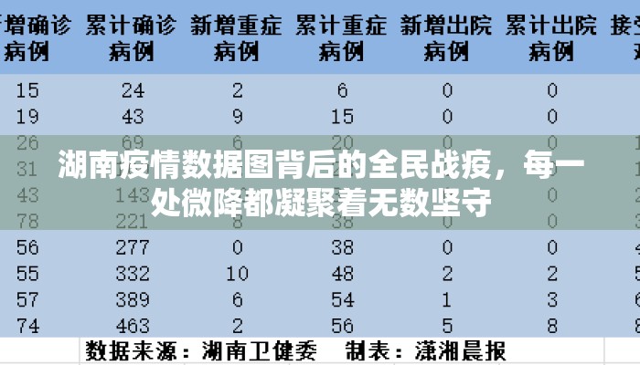 湖南疫情数据图背后的全民战疫，每一处微降都凝聚着无数坚守