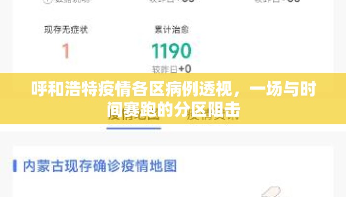 呼和浩特疫情各区病例透视，一场与时间赛跑的分区阻击
