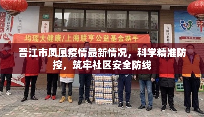 晋江市凤凰疫情最新情况，科学精准防控，筑牢社区安全防线