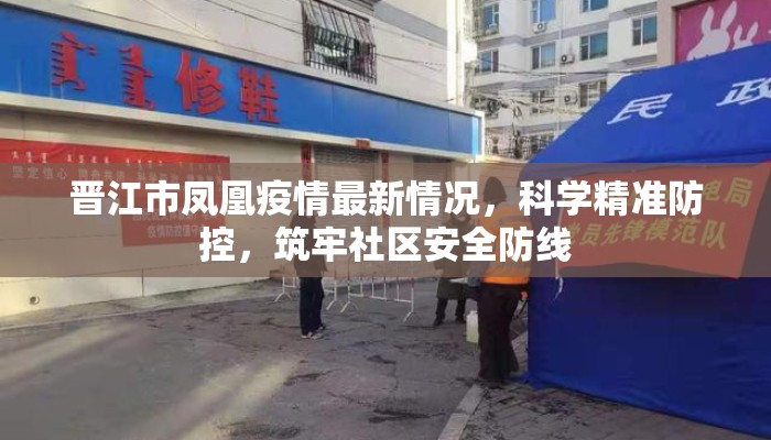 晋江市凤凰疫情最新情况，科学精准防控，筑牢社区安全防线
