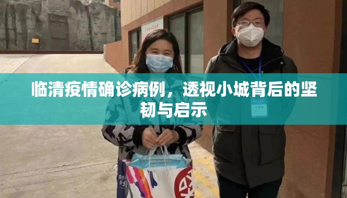 临清疫情确诊病例，透视小城背后的坚韧与启示
