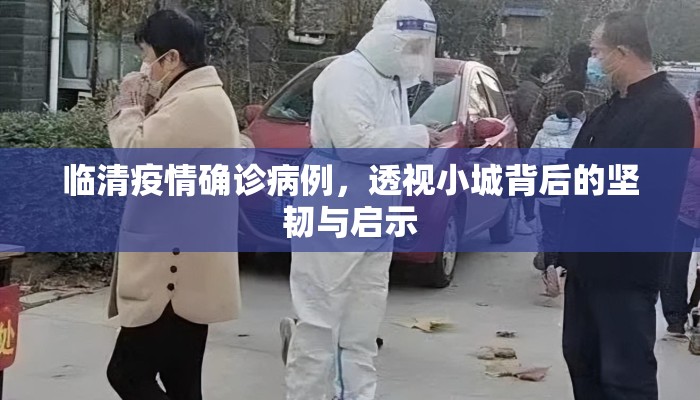 临清疫情确诊病例，透视小城背后的坚韧与启示