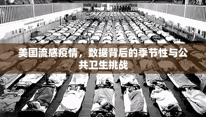 美国流感疫情，数据背后的季节性与公共卫生挑战