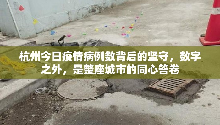 杭州今日疫情病例数背后的坚守，数字之外，是整座城市的同心答卷