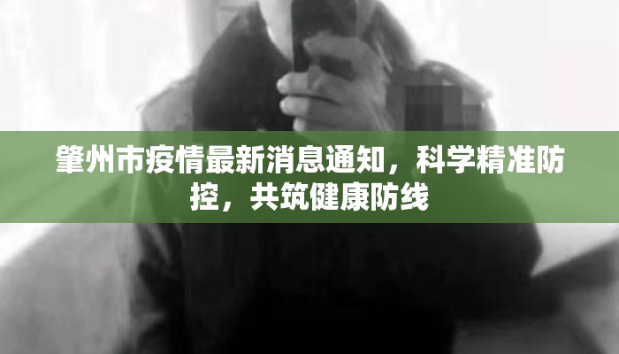 肇州市疫情最新消息通知，科学精准防控，共筑健康防线