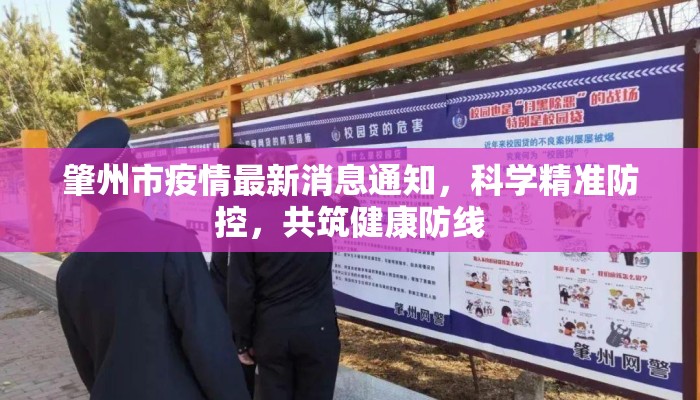 肇州市疫情最新消息通知，科学精准防控，共筑健康防线
