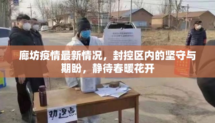廊坊疫情最新情况，封控区内的坚守与期盼，静待春暖花开