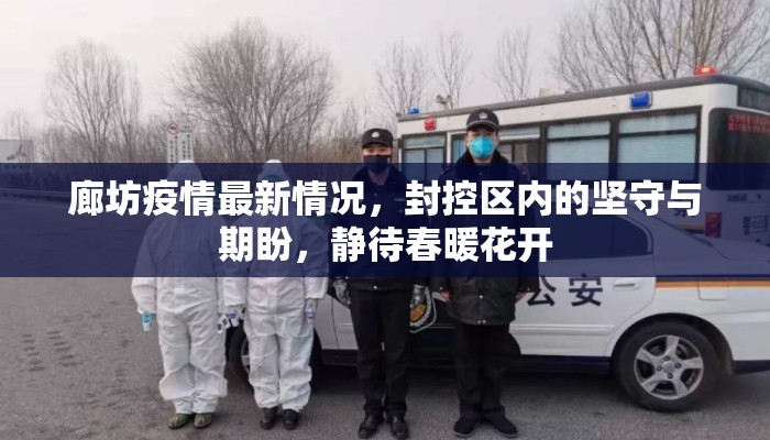 廊坊疫情最新情况，封控区内的坚守与期盼，静待春暖花开