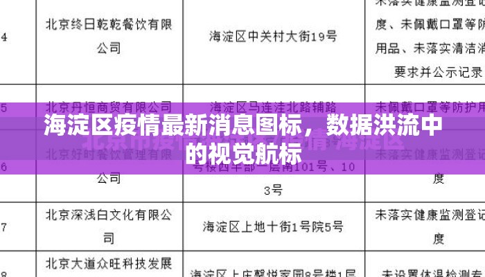 海淀区疫情最新消息图标，数据洪流中的视觉航标