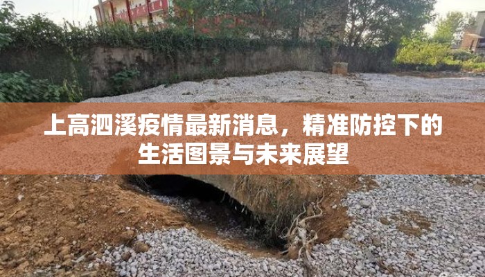 上高泗溪疫情最新消息，精准防控下的生活图景与未来展望