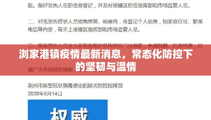浏家港镇疫情最新消息，常态化防控下的坚韧与温情
