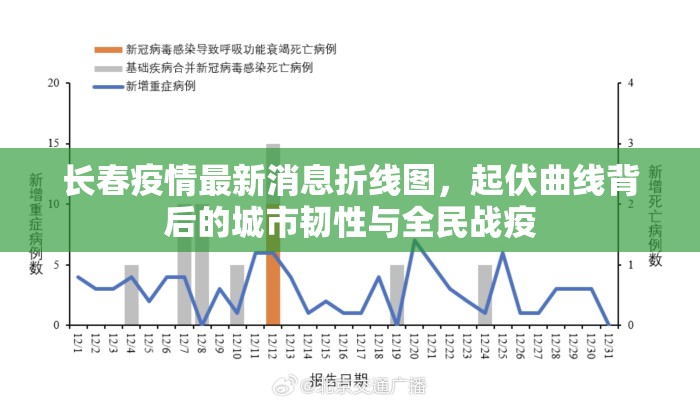长春疫情最新消息折线图，起伏曲线背后的城市韧性与全民战疫
