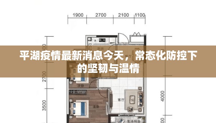 平湖疫情最新消息今天，常态化防控下的坚韧与温情