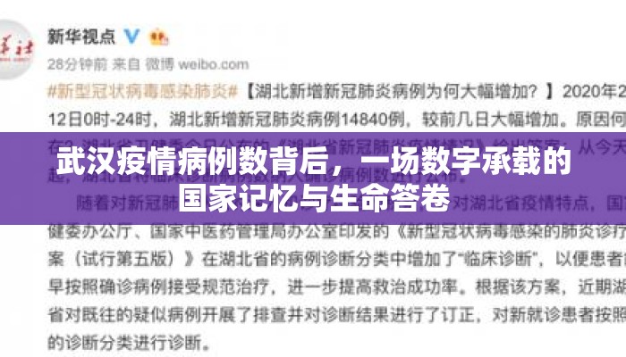 武汉疫情病例数背后，一场数字承载的国家记忆与生命答卷