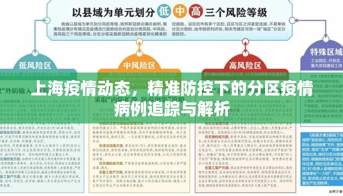 上海疫情动态，精准防控下的分区疫情病例追踪与解析