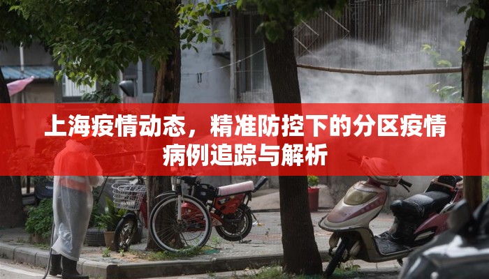 上海疫情动态，精准防控下的分区疫情病例追踪与解析