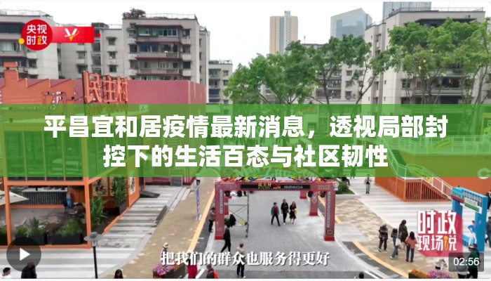 平昌宜和居疫情最新消息，透视局部封控下的生活百态与社区韧性