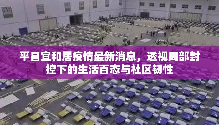 平昌宜和居疫情最新消息，透视局部封控下的生活百态与社区韧性