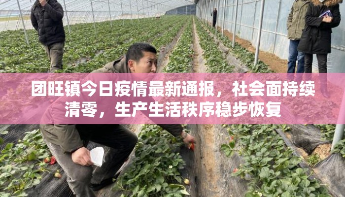 团旺镇今日疫情最新通报，社会面持续清零，生产生活秩序稳步恢复