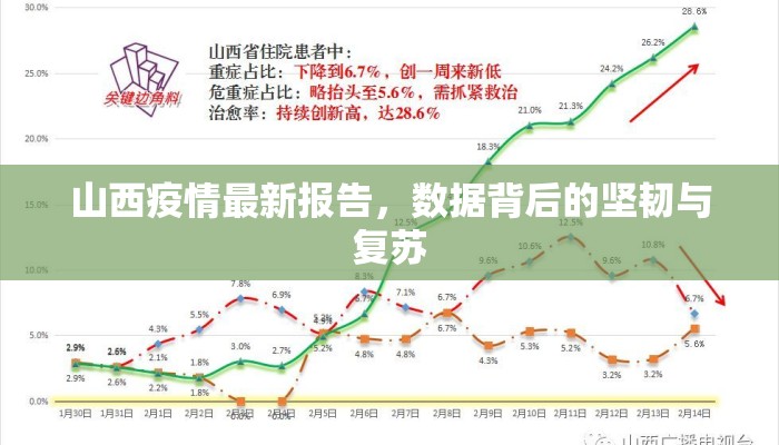 山西疫情最新报告，数据背后的坚韧与复苏
