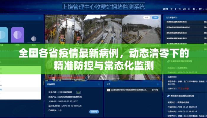 全国各省疫情最新病例，动态清零下的精准防控与常态化监测