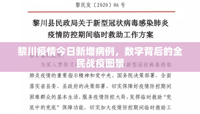 黎川疫情今日新增病例，数字背后的全民战疫图景