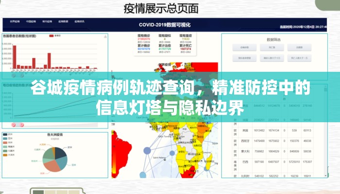 谷城疫情病例轨迹查询，精准防控中的信息灯塔与隐私边界