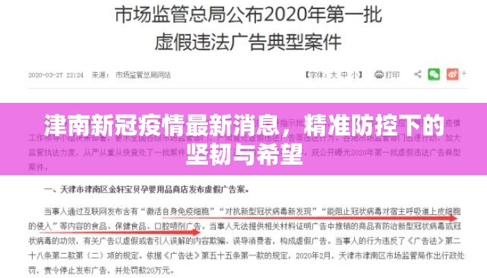 津南新冠疫情最新消息，精准防控下的坚韧与希望