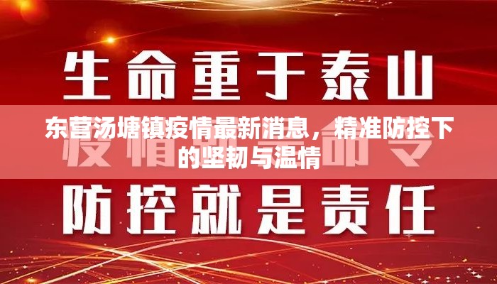 东营汤塘镇疫情最新消息，精准防控下的坚韧与温情