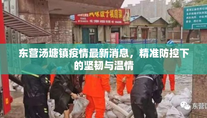 东营汤塘镇疫情最新消息，精准防控下的坚韧与温情