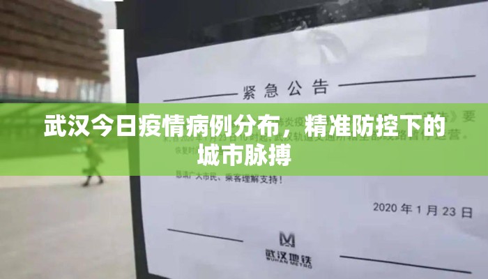 武汉今日疫情病例分布，精准防控下的城市脉搏