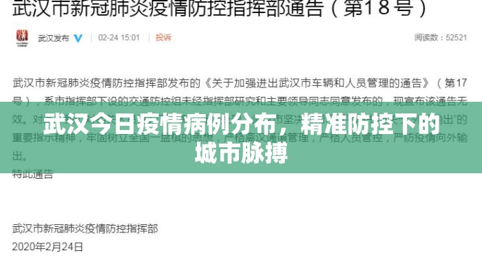 武汉今日疫情病例分布，精准防控下的城市脉搏