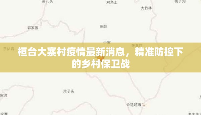 桓台大寨村疫情最新消息，精准防控下的乡村保卫战