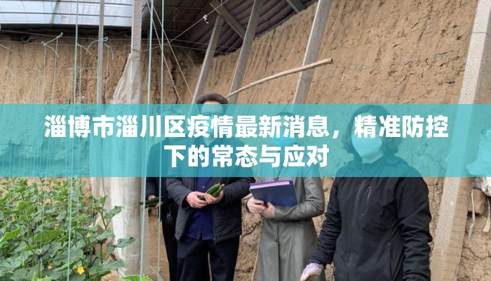 淄博市淄川区疫情最新消息，精准防控下的常态与应对