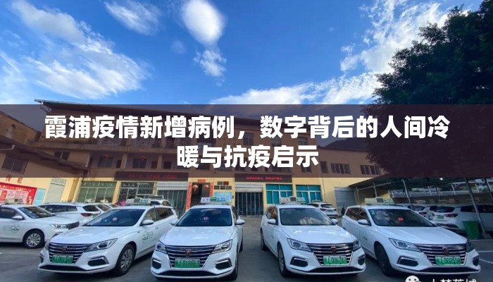 霞浦疫情新增病例，数字背后的人间冷暖与抗疫启示