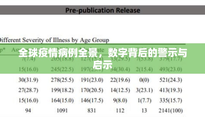 全球疫情病例全景，数字背后的警示与启示