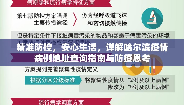 精准防控，安心生活，详解哈尔滨疫情病例地址查询指南与防疫思考