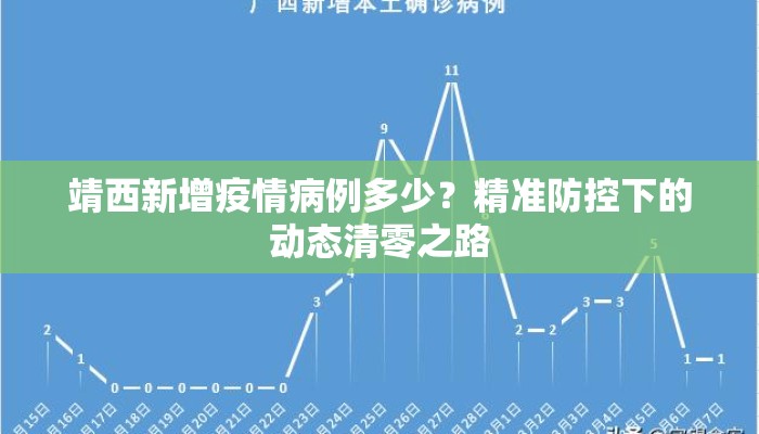 靖西新增疫情病例多少？精准防控下的动态清零之路