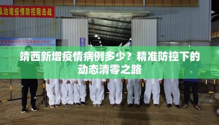 靖西新增疫情病例多少？精准防控下的动态清零之路