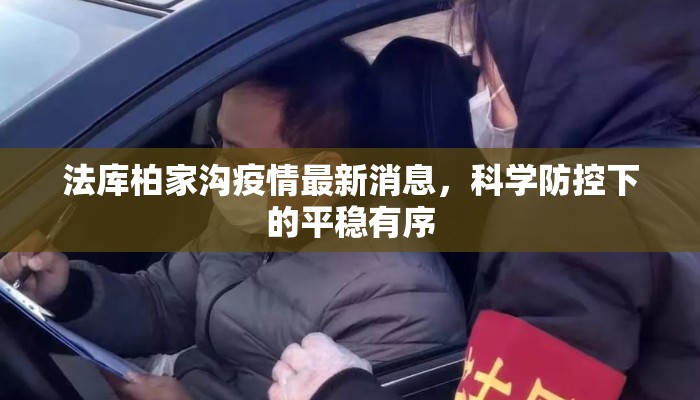 法库柏家沟疫情最新消息，科学防控下的平稳有序