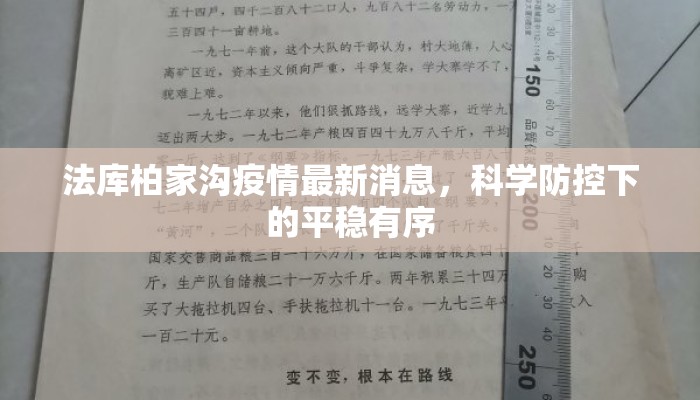 法库柏家沟疫情最新消息，科学防控下的平稳有序