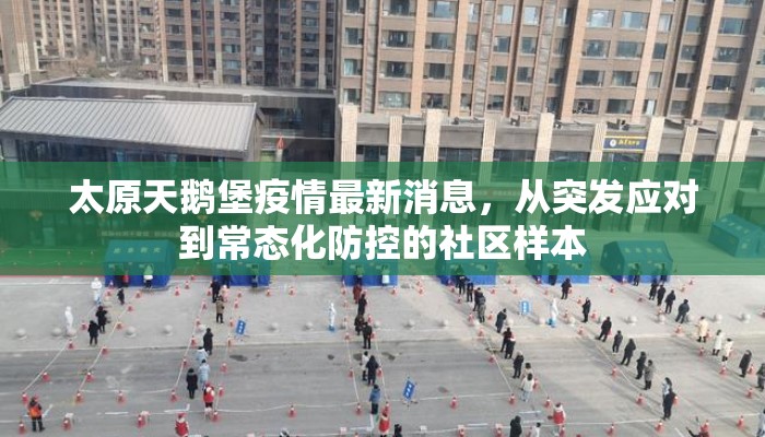 太原天鹅堡疫情最新消息，从突发应对到常态化防控的社区样本