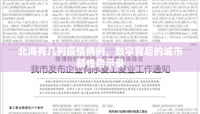 北海有几列疫情病例，数字背后的城市韧性启示录