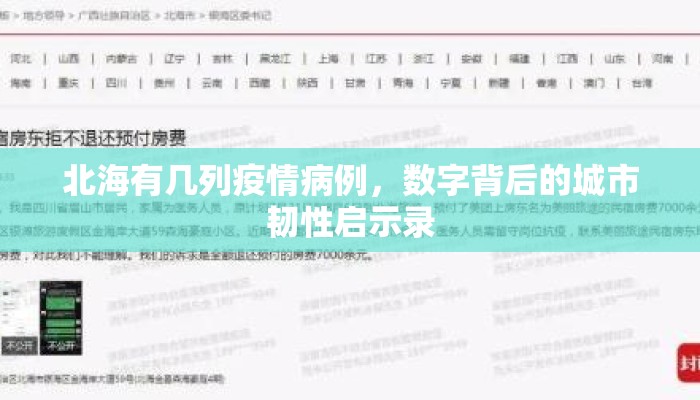 北海有几列疫情病例，数字背后的城市韧性启示录