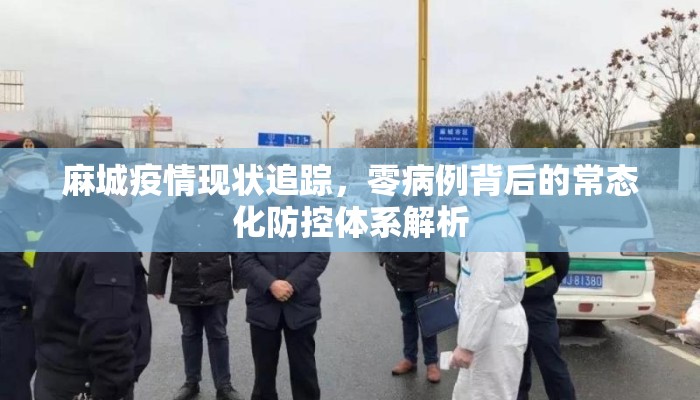 麻城疫情现状追踪，零病例背后的常态化防控体系解析